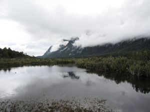 湖面に映る景色 1 