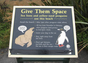 アザラシやペンギンについての看板