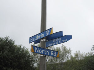 ノース・ロードとボルドウィン・ストリートの交差点にある「世界で一番急な坂道（Worlds Steepest Street）」の標識