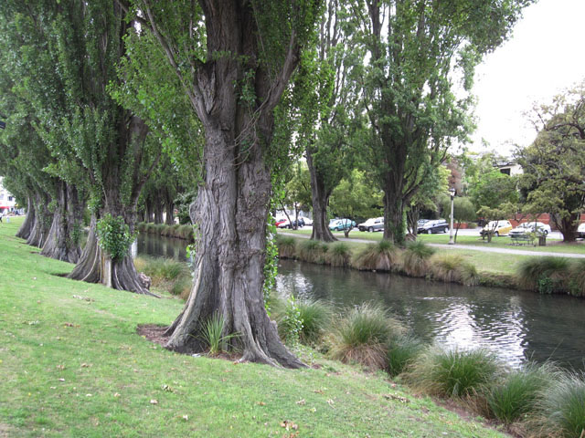 クライストチャーチ（Christchurch）のエイボン川（Avon River）沿い